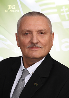 GIEBER LAJOS fényképe